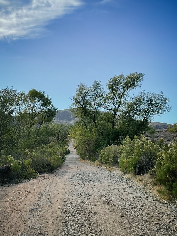 Mission Trails regional park, photo of trail in park, Lauren V Photography, family photographer