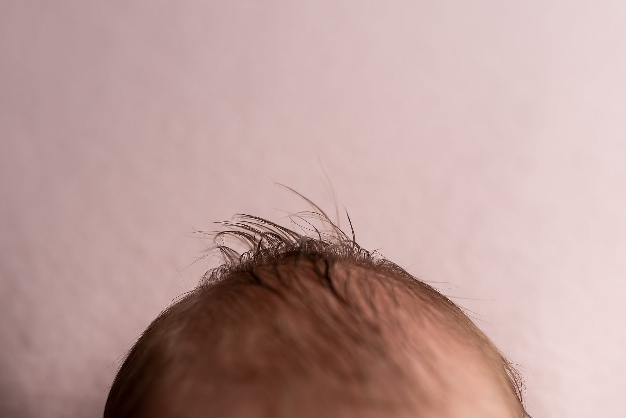 Details of a newborn baby's head Little Locks La Jolla
