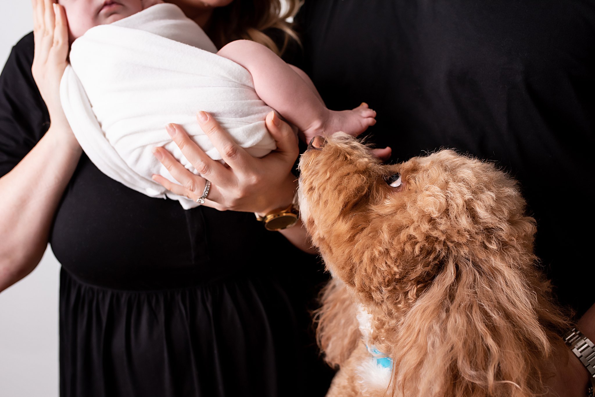 A fluffy brown dog sniffs the foot on a newborn baby in mom's hands thanks to north county doulas